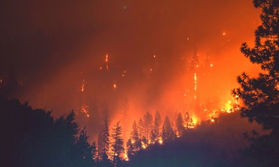 Photo of a wildfire